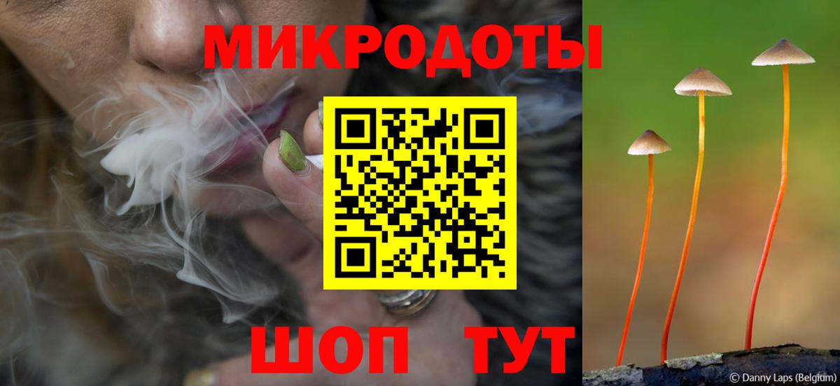 Галлюциногенные грибы прущие грибы  Вход с VPN  Звенигород 